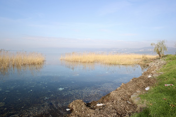 Foto - Sapanca Gölü'nde sevindiren yükseliş
