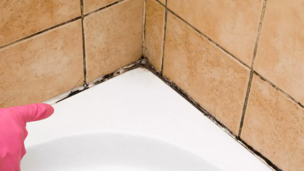 Sararan derz aralarını boyamakla uğraşmayın! Bu yöntem, en kirlisini bile kar gibi bembeyaz yapıyor! Şaşkınlıktan, resmen gözleriniz yerinden fırlayacak 