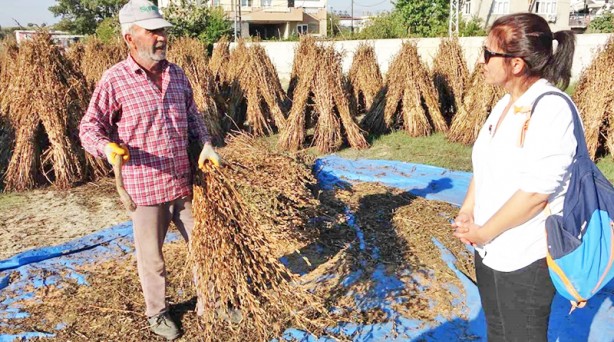 Foto - Saray mutfağının vazgeçilmezi tescilli ürün: Gastronominin altını 85 liradan satışa çıktı