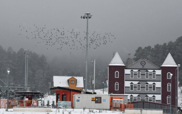 Foto - Sarıkamış karla kaplandı