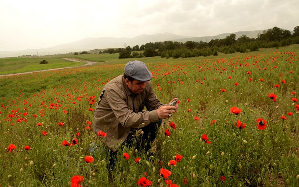 Foto - Sarıkamış'ta renk cümbüşü