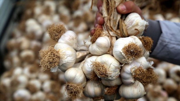 Foto - Sarımsağı baş parmağınıza sarıp bekletirseniz...