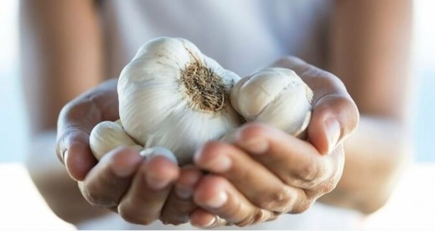 Foto - Sarımsağı bir de böyle deneyin! Şifa saçıyor
