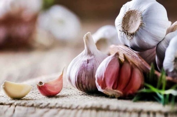 Foto - Sarımsağı bir de böyle deneyin! Şifa saçıyor