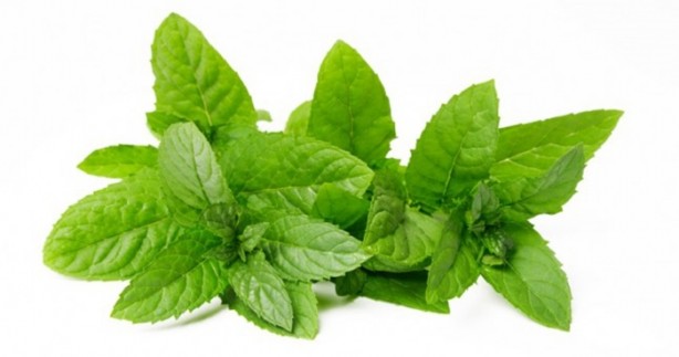 Foto - Sarımsağı kaynattıktan sonra suyunu...