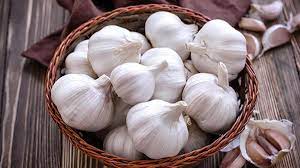 Sarımsağı yıllardır yanlış saklamışız! Bakteri yuvasına dönüşüyor! Bir diş sarımsak: Bunu yapanlara kötü haber