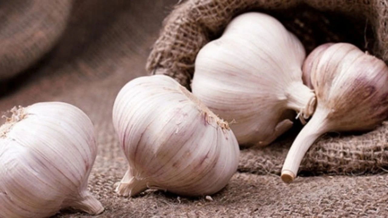 Foto - Sarımsağın Akciğerler Üzerindeki Mucizevi Etkisi!