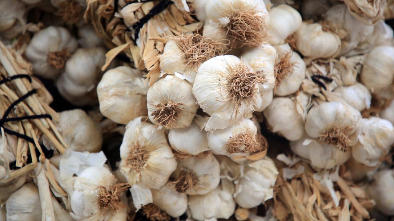 Sarımsağın Akciğerler Üzerindeki Mucizevi Etkisi!