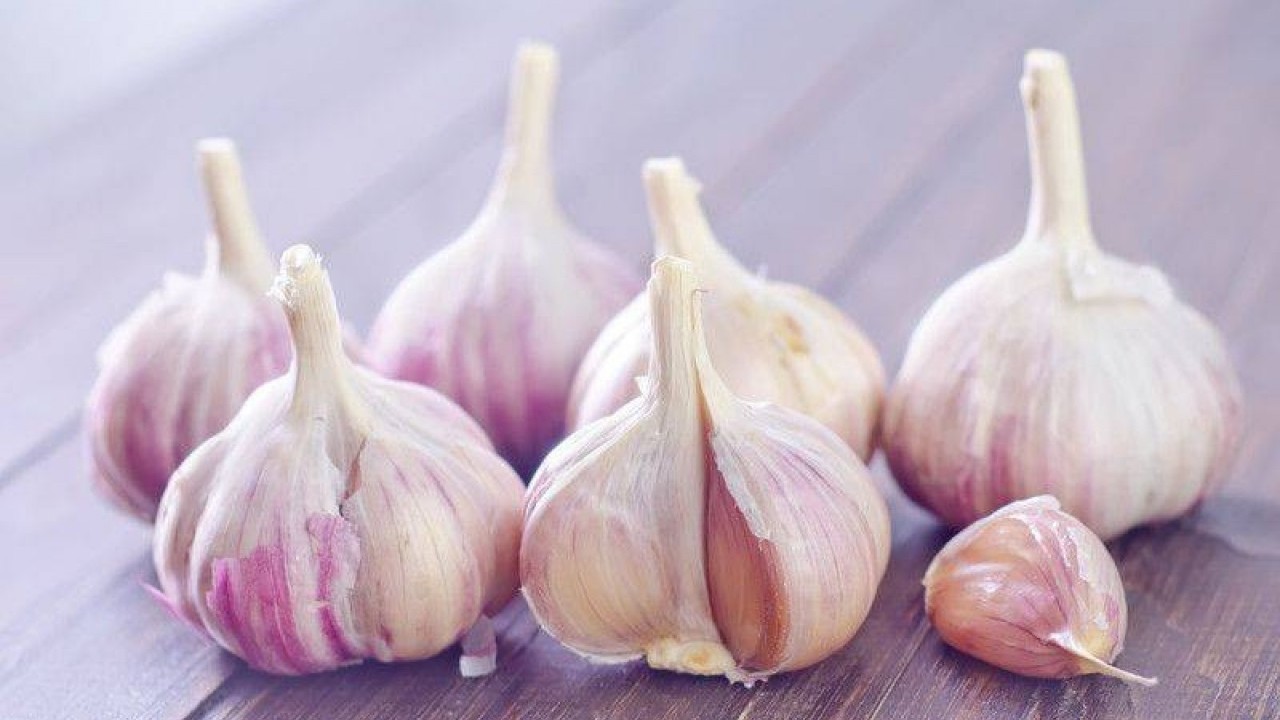Foto - Sarımsağın faydaları nelerdir? Sarımsak enfeksiyonlara karşı koruyabilir: Sarımsak neye iyi gelir?