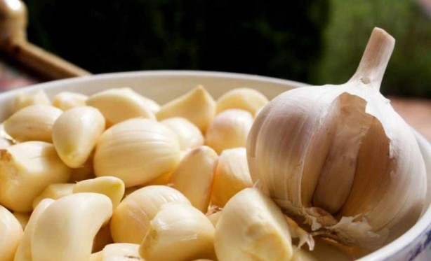 Foto - Sarımsağın olağanüstü 5 kanıtlanmış faydası