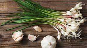 Foto - Sarımsak kullanan herkesin bilmesi gereken 7 şey! Duyan inanamıyor: Bakın ne işe yarıyor!