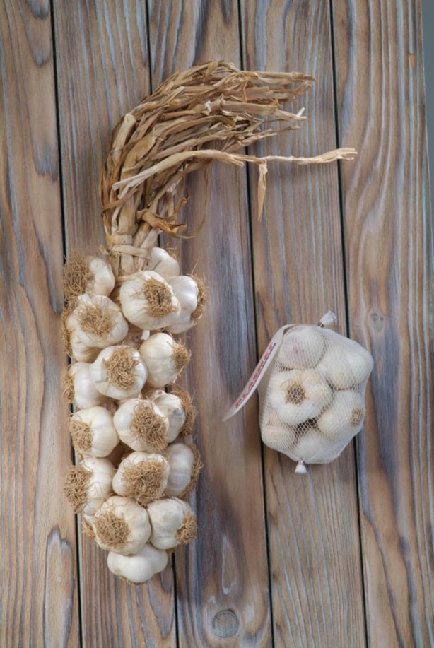 Foto - Sarımsak ve bal mucizesi