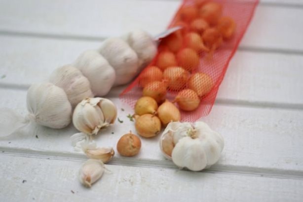 Foto - Sarımsak ve bal mucizesi