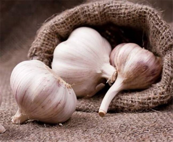 Foto - Sarımsak ve balı karıştırıp yerseniz...