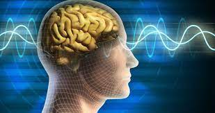 Foto - Sarımsak yağı hangi hastalıklara iyi gelir? Kullananlar inanılmaz müthiş buldular: Şifa her yerden fışkırıyor