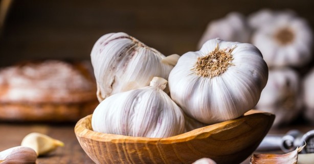 Foto - Sarımsak yararlı ama nereye kadar?