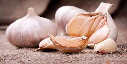 Foto - Sarımsak yararlı ama nereye kadar?
