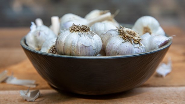 Foto - Sarımsak yararlı ama nereye kadar?