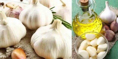 Foto - Sarımsak-zeytinyağı kürü! Bir araya gelince bakın ne oluyor