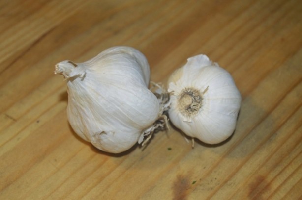 Foto - Sarımsaklı bal mucizesi