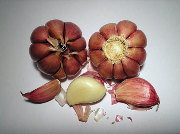 Foto - Sarımsaklı bal mucizesi