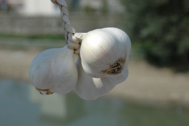 Foto - Sarımsaklı bal mucizesi