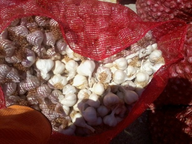 Foto - Sarımsaklı bal mucizesi