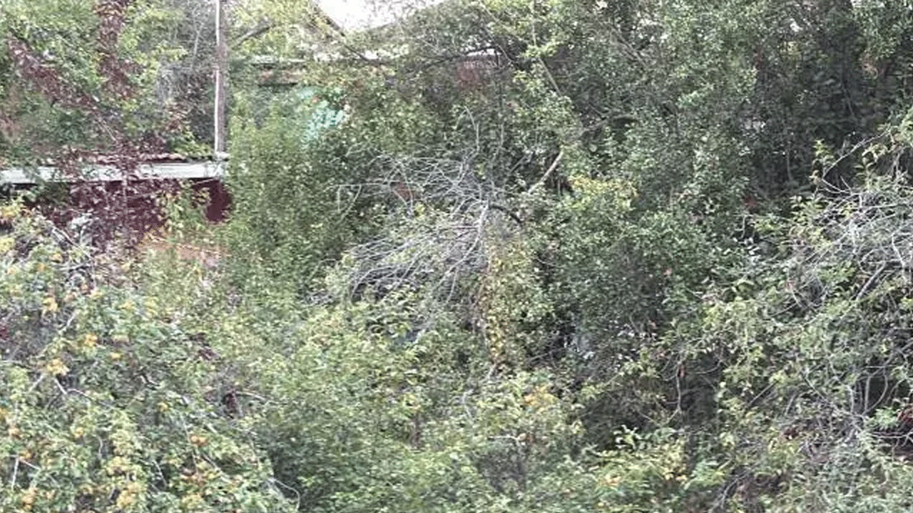 Foto - Sevgililere kanlı infaz: Başlarından vurulmuş halde bulundular!