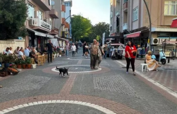 Foto - Şartların hepsini sağlıyorlar! İşte yeni il adayı ilçeler
