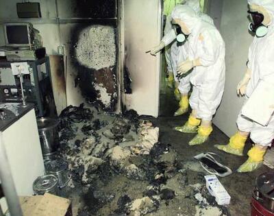 Foto - Şaşırtan analiz! Böcekler nükleer felaketten nasıl kurtulur?