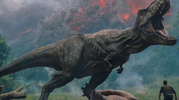 Foto - Şaşırtan analiz! Böcekler nükleer felaketten nasıl kurtulur?