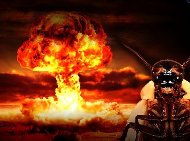 Foto - Şaşırtan analiz! Böcekler nükleer felaketten nasıl kurtulur?