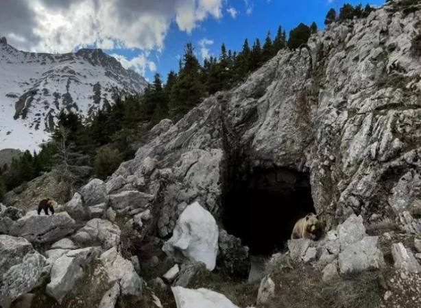 Foto - Şaşırtan deney! 40 gün 40 gece mağara yaşamının sonucu