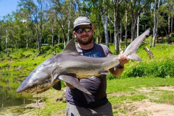 Foto - Şaşırtan dev hayvanlar