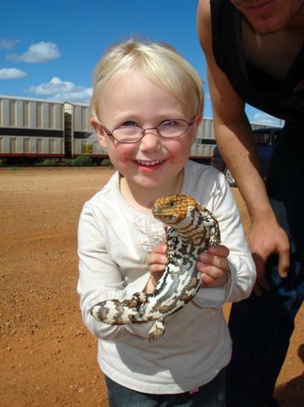 Foto - Şaşırtan dev hayvanlar