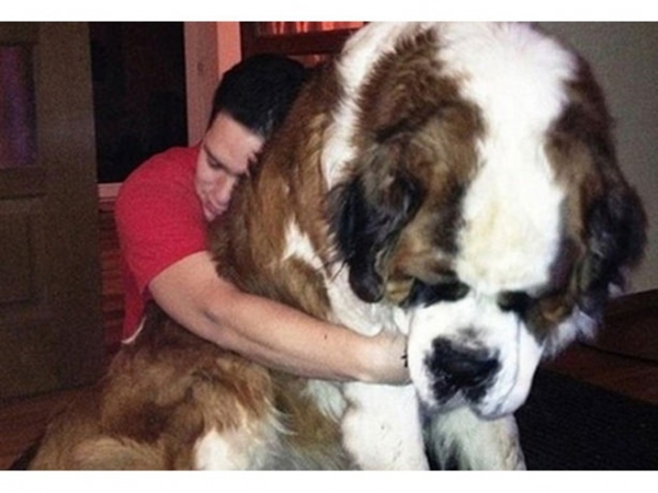 Foto - Şaşırtan dev hayvanlar