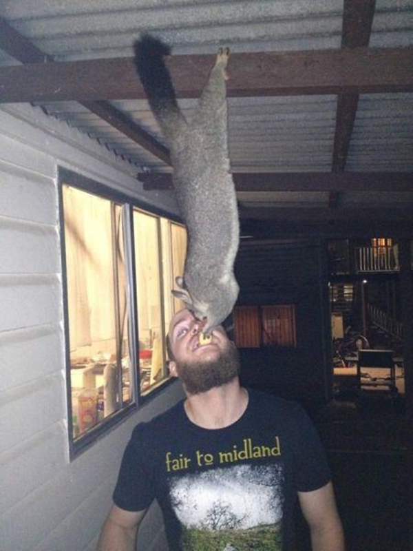 Foto - Şaşırtan dev hayvanlar