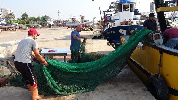 Foto - Şaşırtan görüntüler! Denizde balık ararken bakın ne buldular