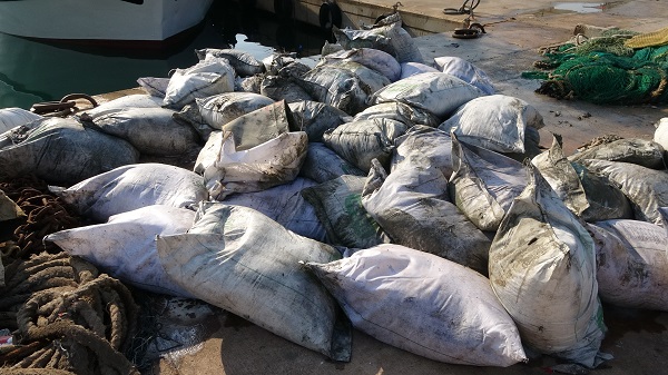 Foto - Şaşırtan görüntüler! Denizde balık ararken bakın ne buldular