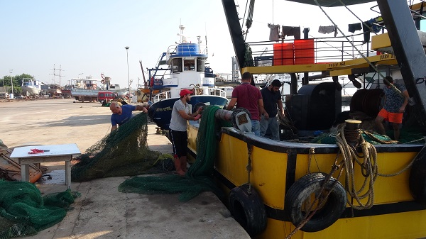 Foto - Şaşırtan görüntüler! Denizde balık ararken bakın ne buldular