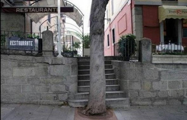 Foto - Şaşırtan mühendislik hataları