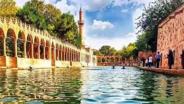 Foto - Şaşırtan sonuçlar! Herkes memleketinde yaşasaydı ne olurdu?