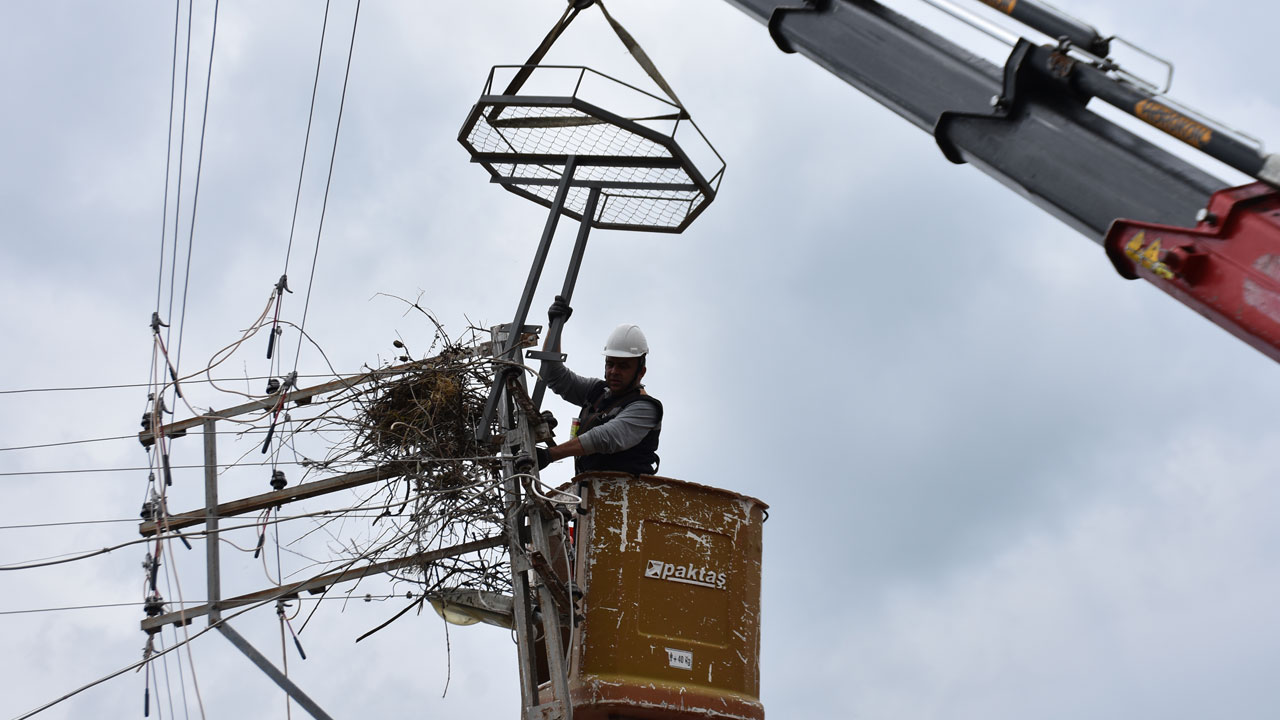 Foto - Şaşırtan sürpriz! 2 yıl sonra doğduğu ovaya döndü