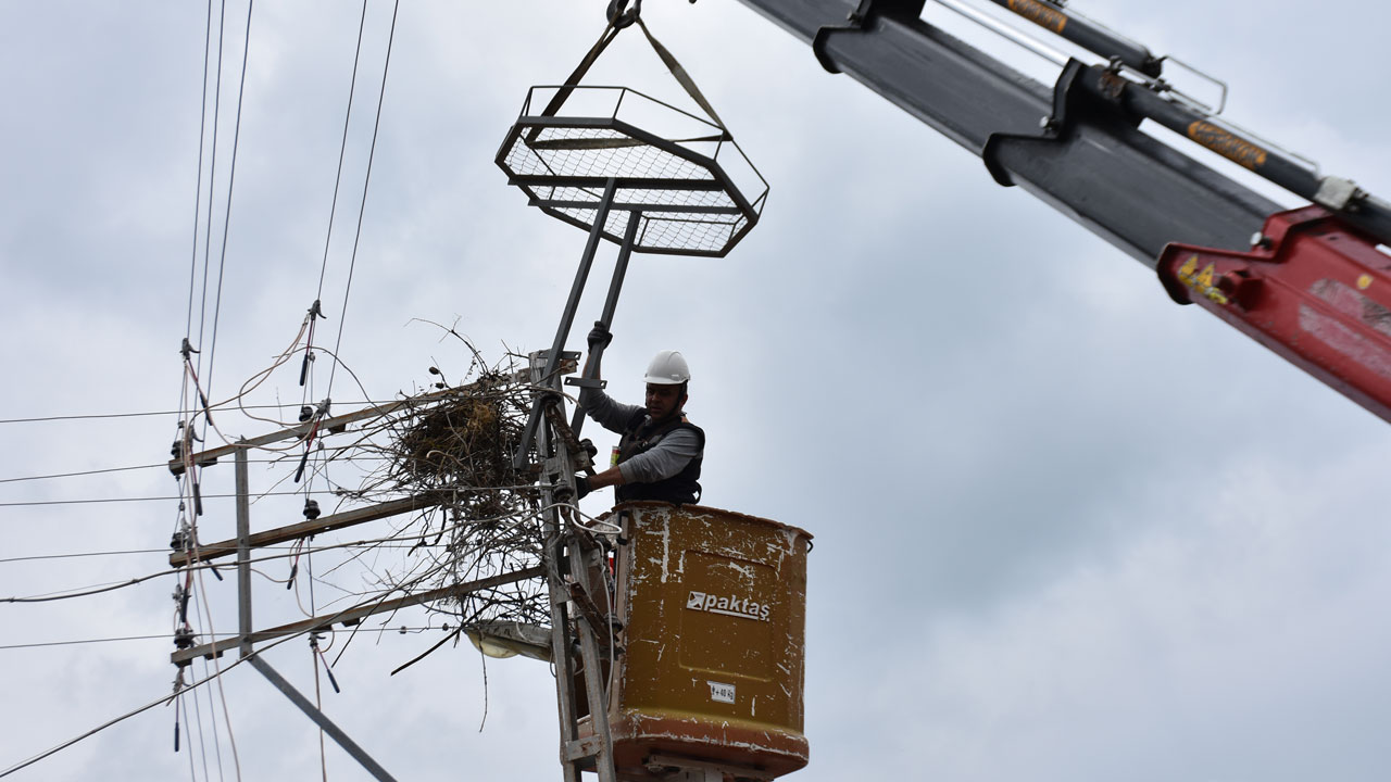 Foto - Şaşırtan sürpriz! 2 yıl sonra doğduğu ovaya döndü