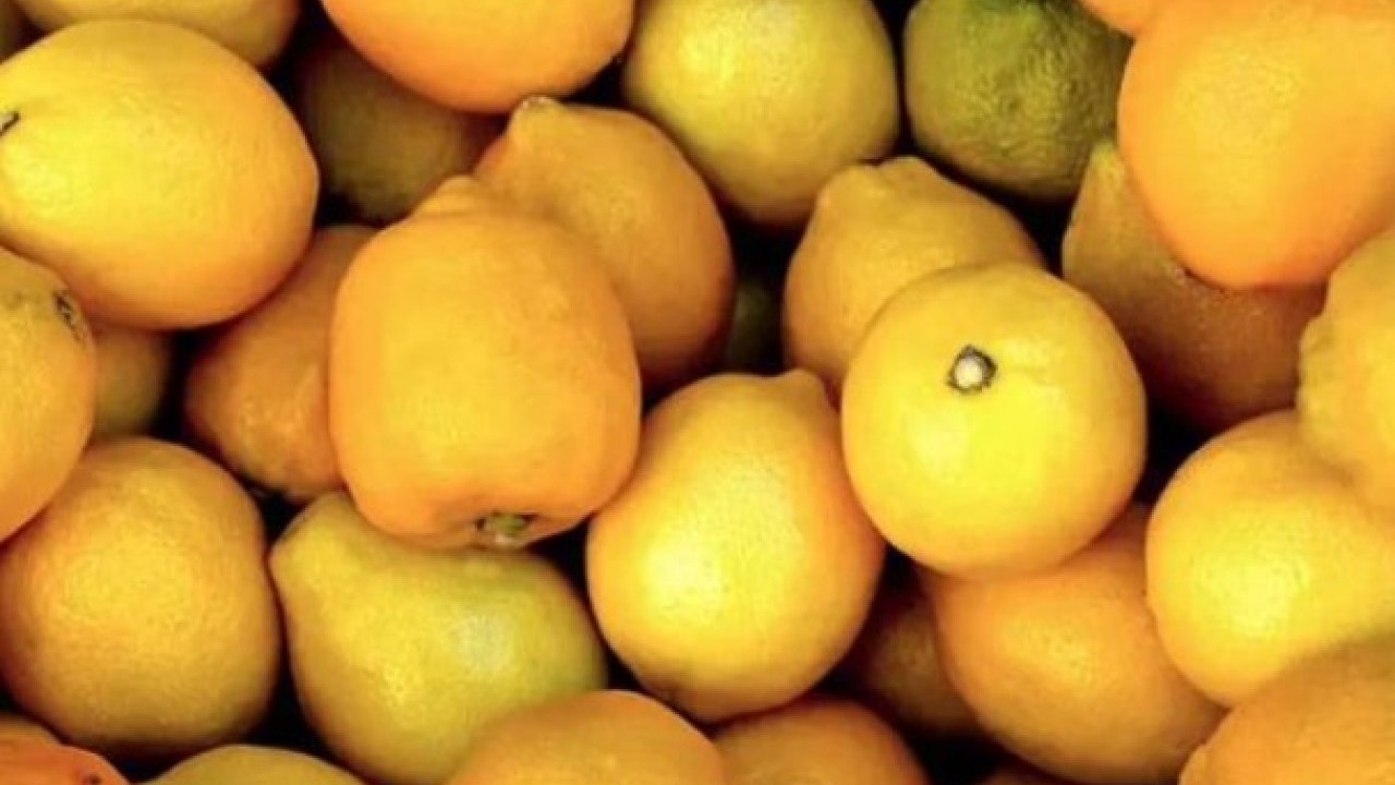 Foto - Şaşırtıcı şifa kaynağı! Limon dilimleriyle uyursanız bakın ne oluyor