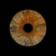 Foto - Şaşkına çeviren araştırma! Bu göz rengine sahip olanlar dikkat! Kansere yakalanma ihtimaliniz daha fazla