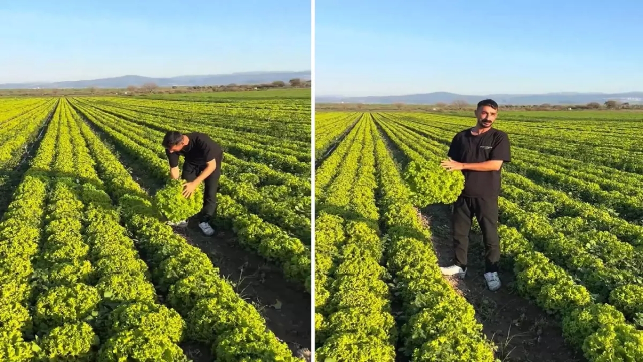 "Satarsam şerefsizim" diyen İzmirli çiftçiye büyük şok! Neye uğradığını şaşırdı