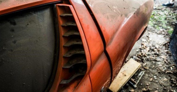 Foto - Satın aldığı evin içinden bakın ne çıktı!