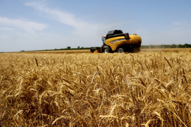 Foto - Savaş döneminin en çok konuşulanları arasında! Stratejik üründe müjdeli haber