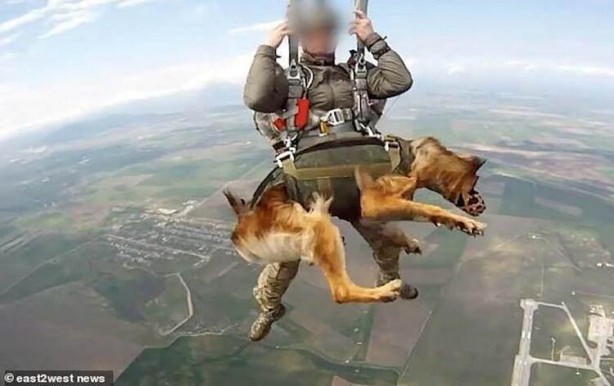 Foto - Savaş hazırlıkları nefes kesti